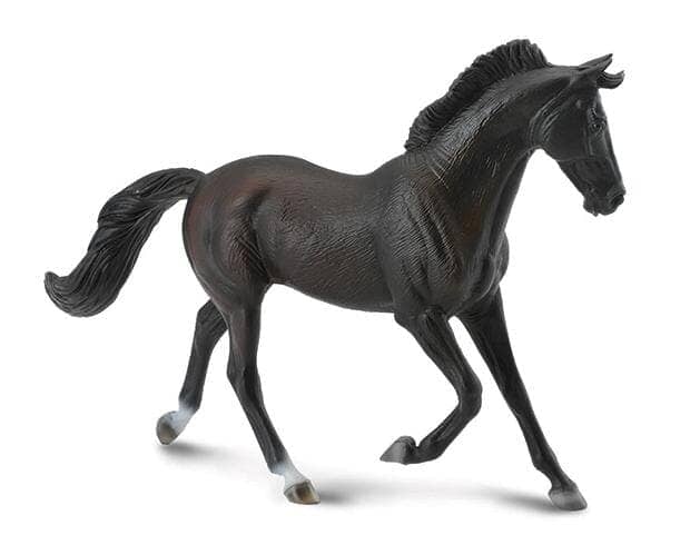Thoroughbred Mare- Black