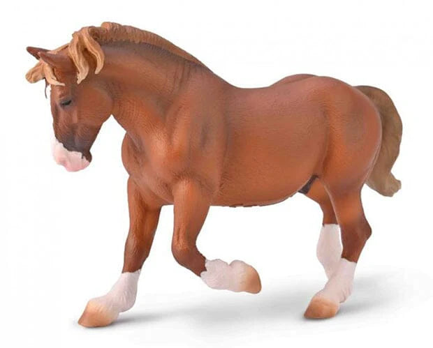 Breton Stallion