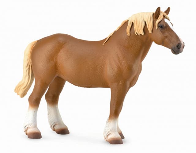 Belgian Mare- Chestnut