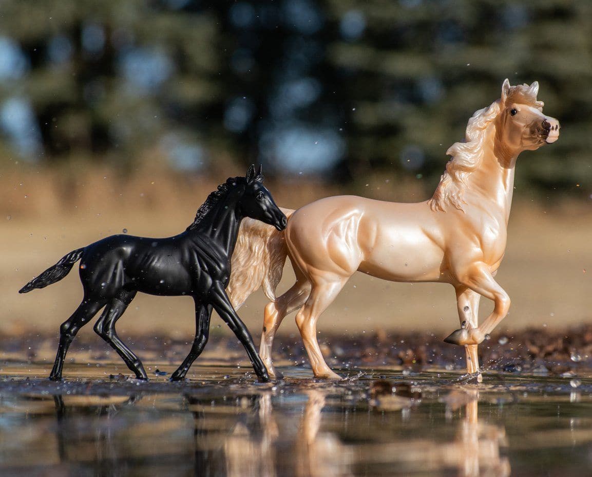 Encore and Tor- Retired