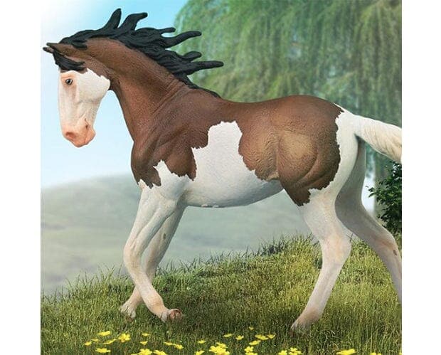 Mustang Mare- Bay Overo