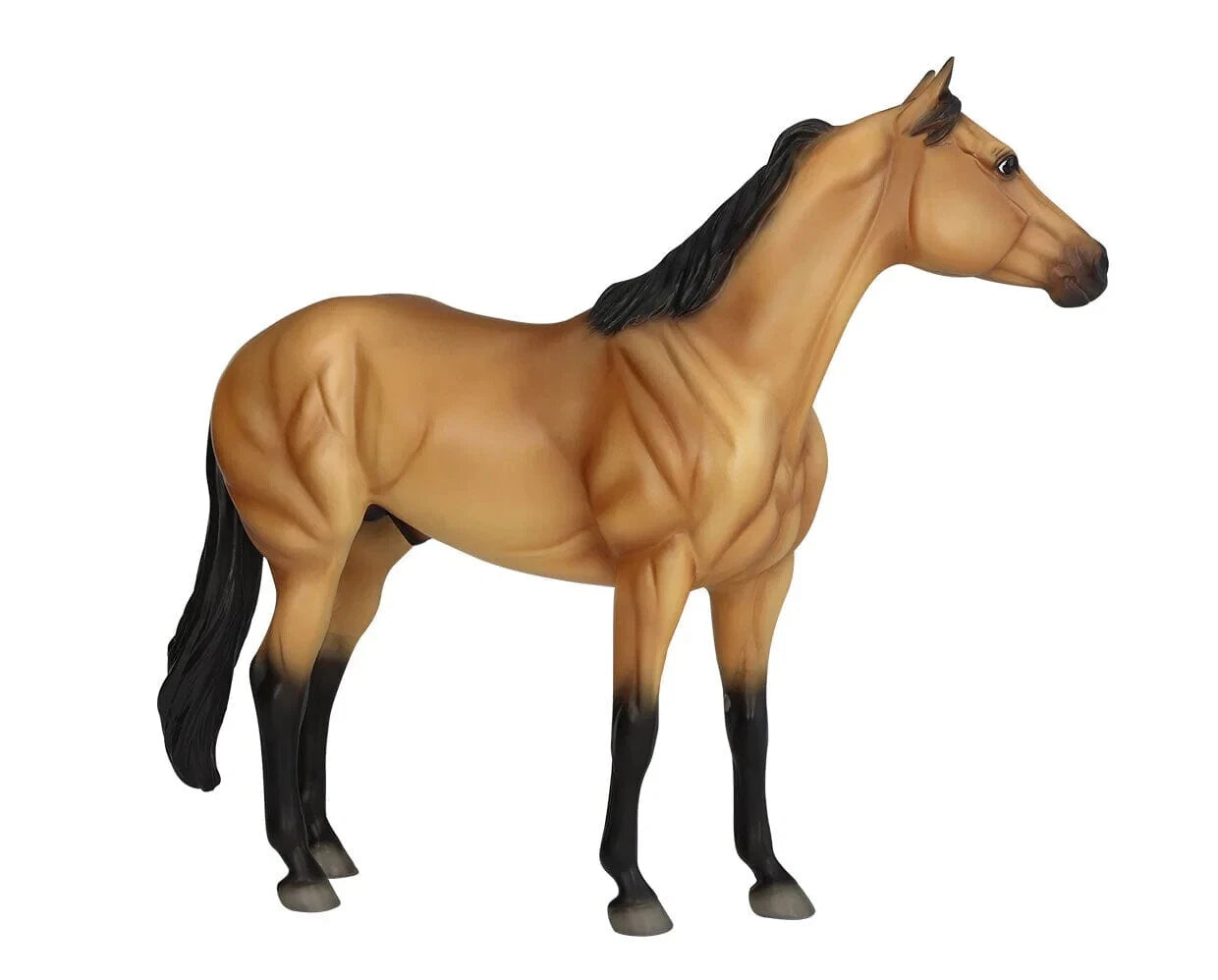 Ideal Series Buckskin