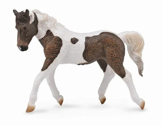 Curly Mare- Bay Pinto