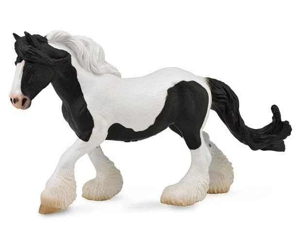 Gypsy Vanner Mare- Black Pinto
