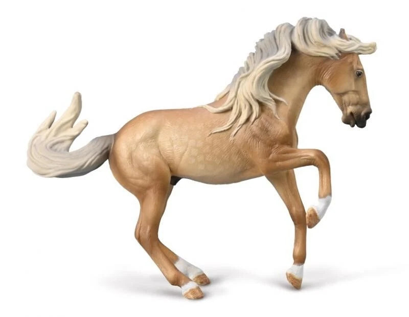 Lusitano Stallion- Palomino