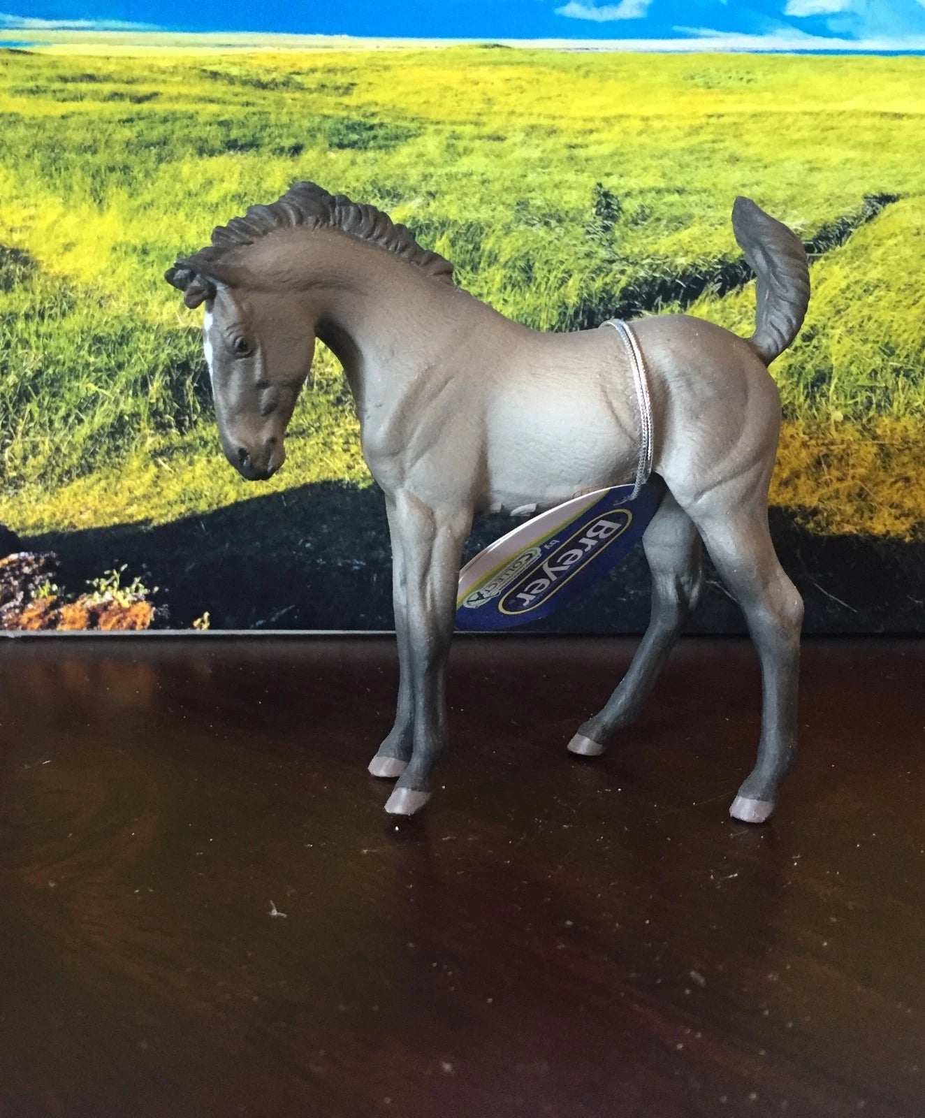 Mustang Foal- Grulla