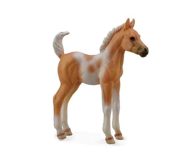 Pinto Foal Standing- Palomino