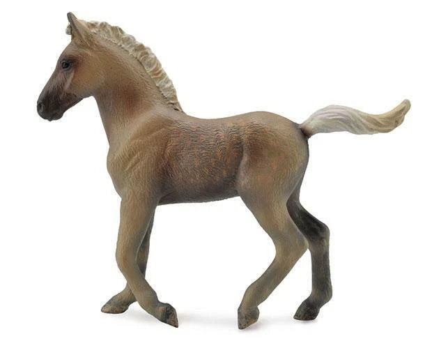 Rocky Mountain Foal- Chocolate