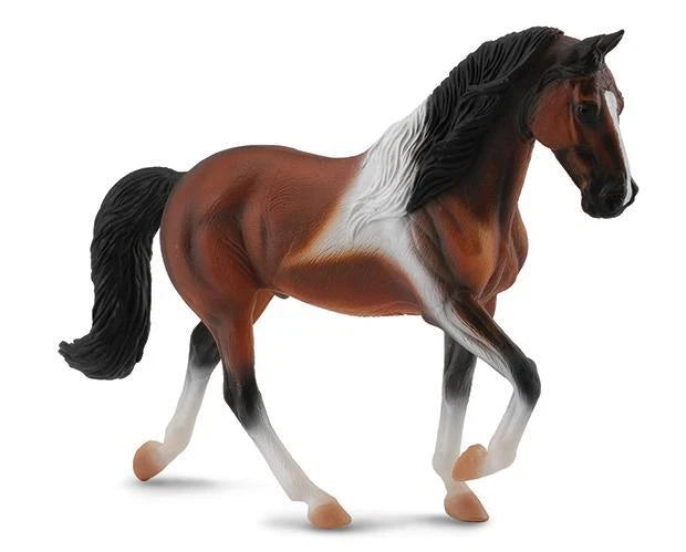 Tennessee Walking Horse Stallion- Bay Pinto