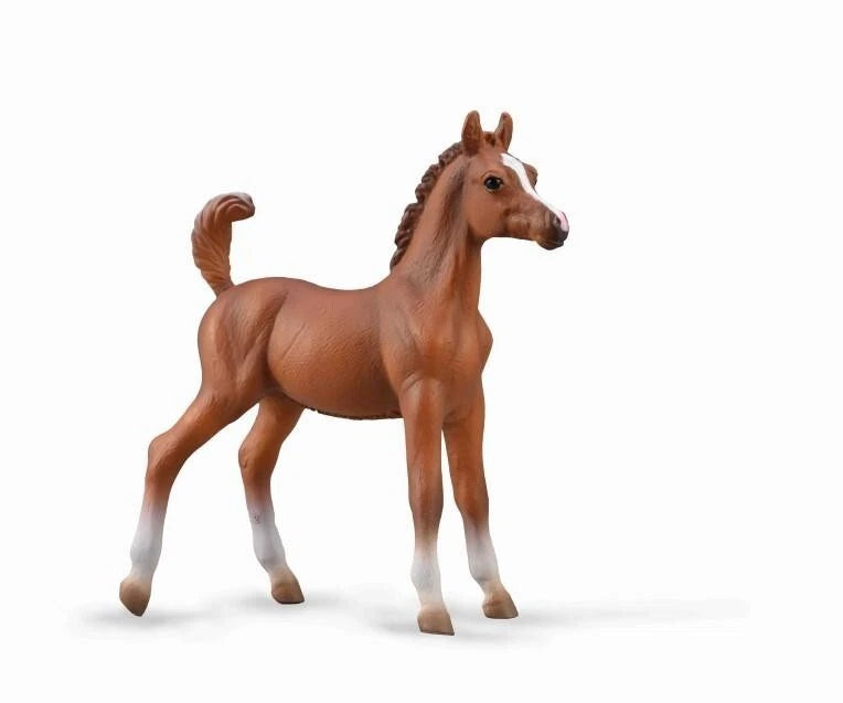 Arabian Foal- Chestnut
