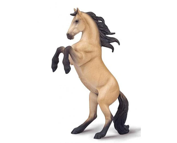 Rearing Warlander Mare