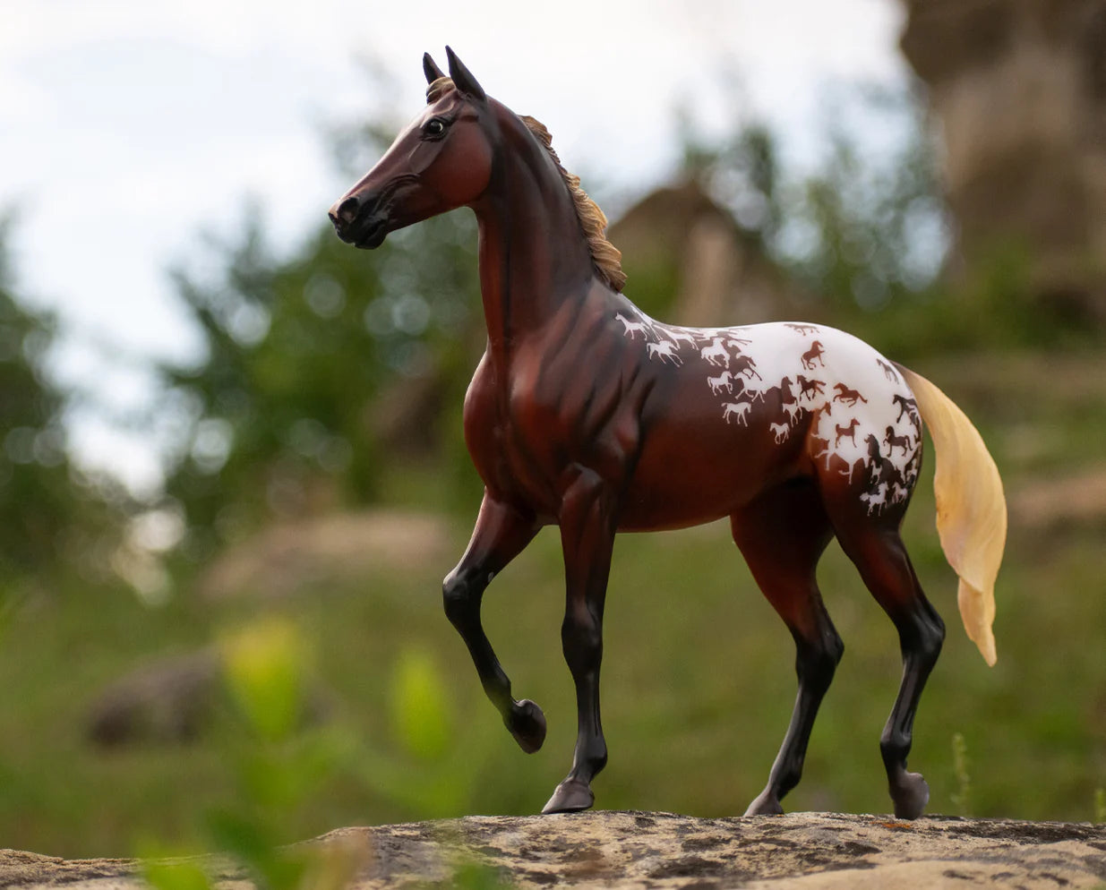 75th Anniversary Sport Horse