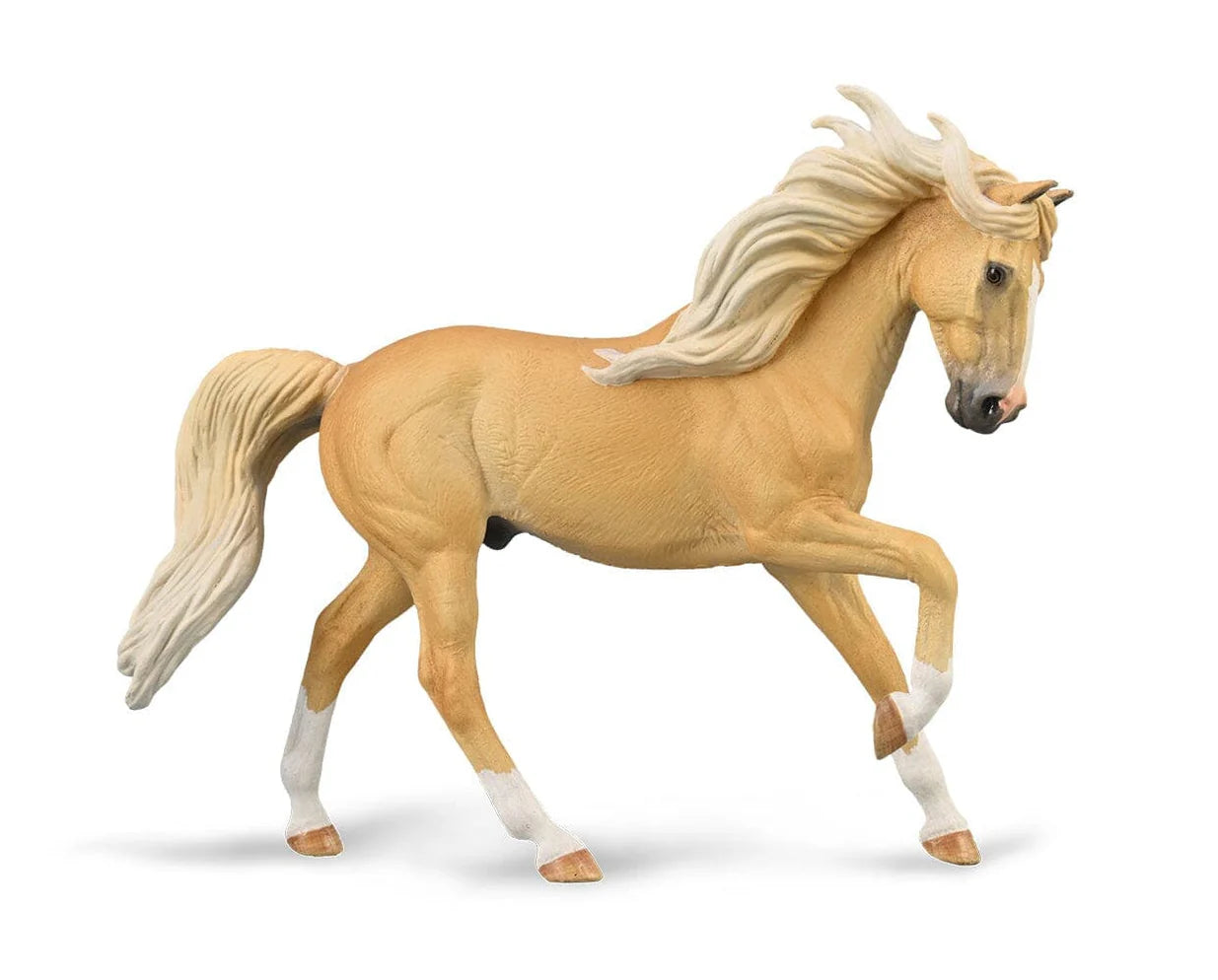 Palomino Andalusian Stallion