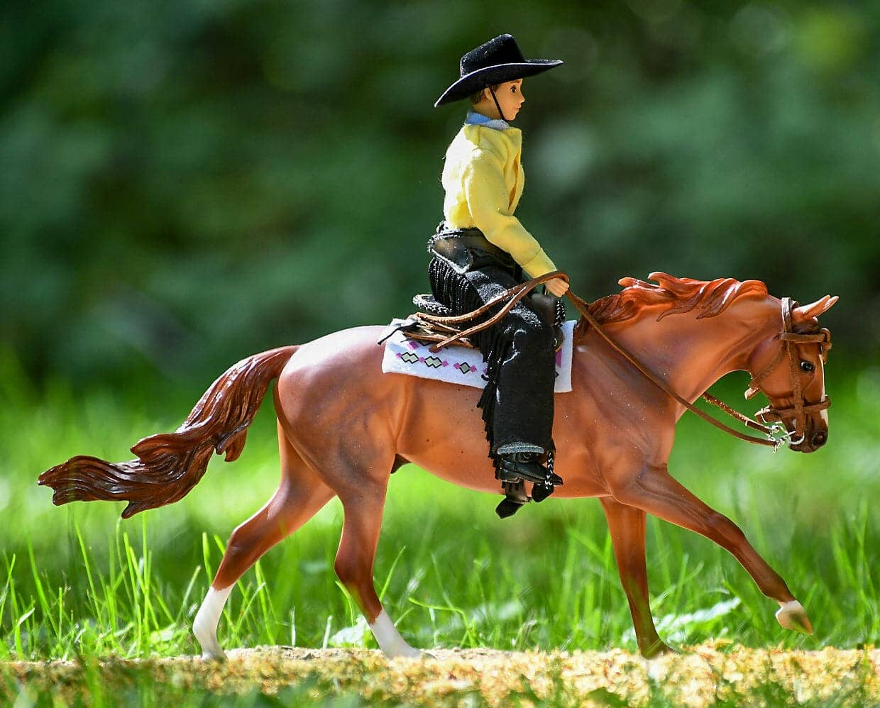Cowboy Austin- Retired