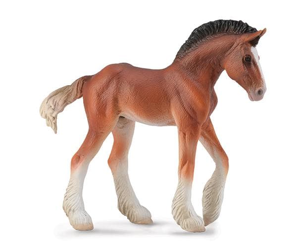 Clydesdale Foal- Bay