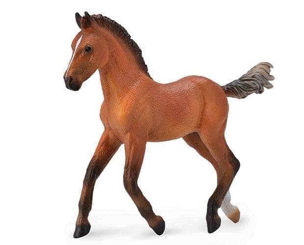 Hanoverian Foal- Bay