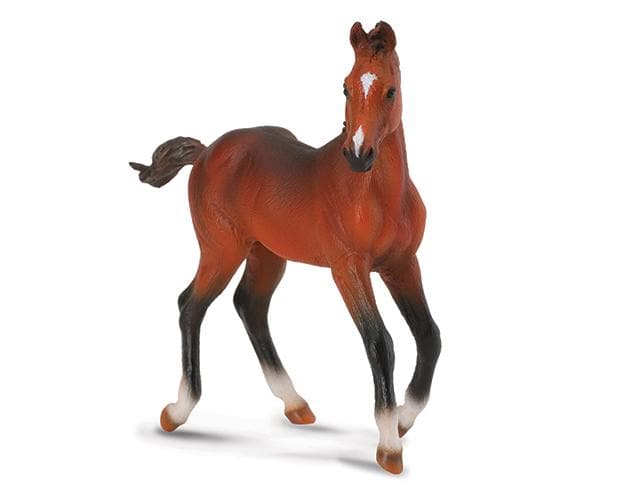 Quarter Horse Foal- Bay
