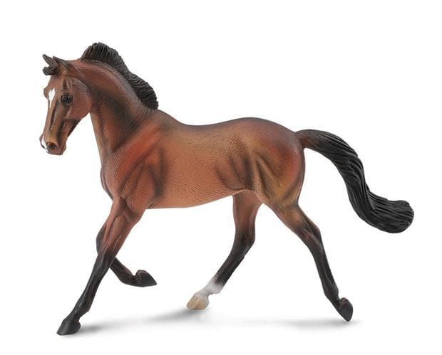Thoroughbred Mare- Bay