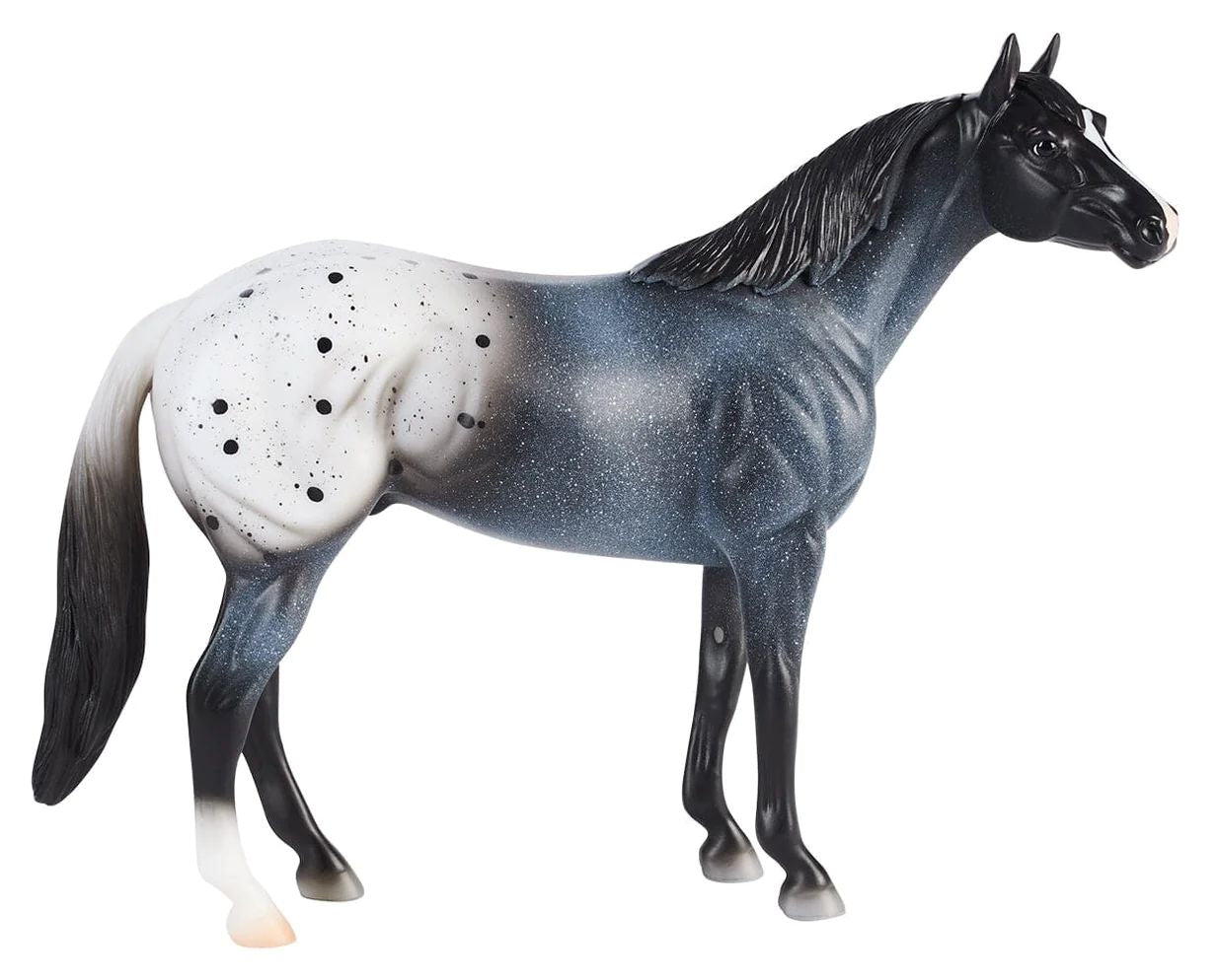 Blue Roan Appaloosa NEW 2026