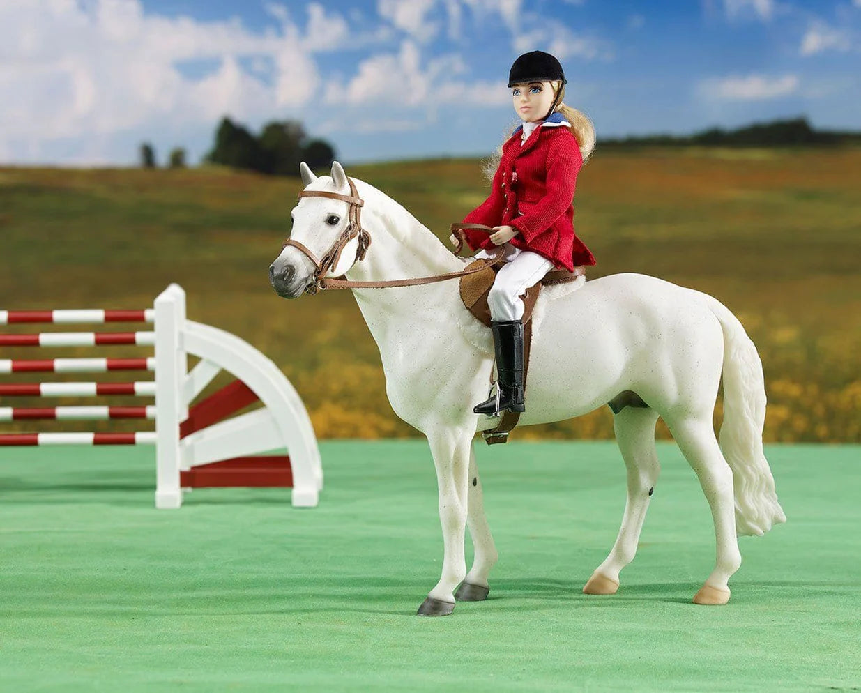 Show Jumper Brenda