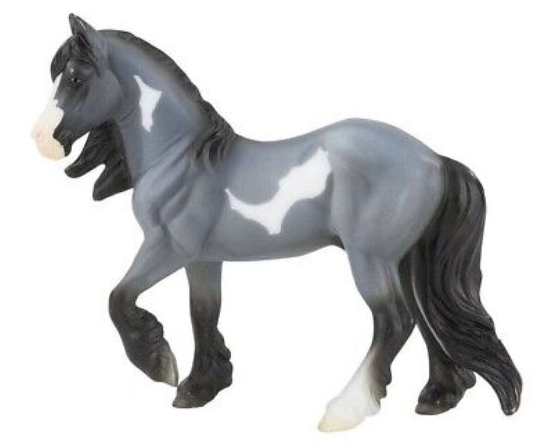 Blue Roan Cob- Retired