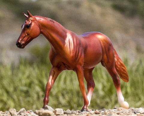 Coppery Chestnut Thoroughbred- Retired