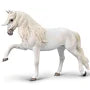 Spanish Walking Lippizan Mare