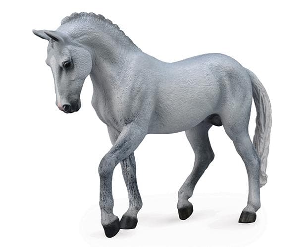 Trakehner Stallion- Grey