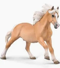 Halflinger Stallion