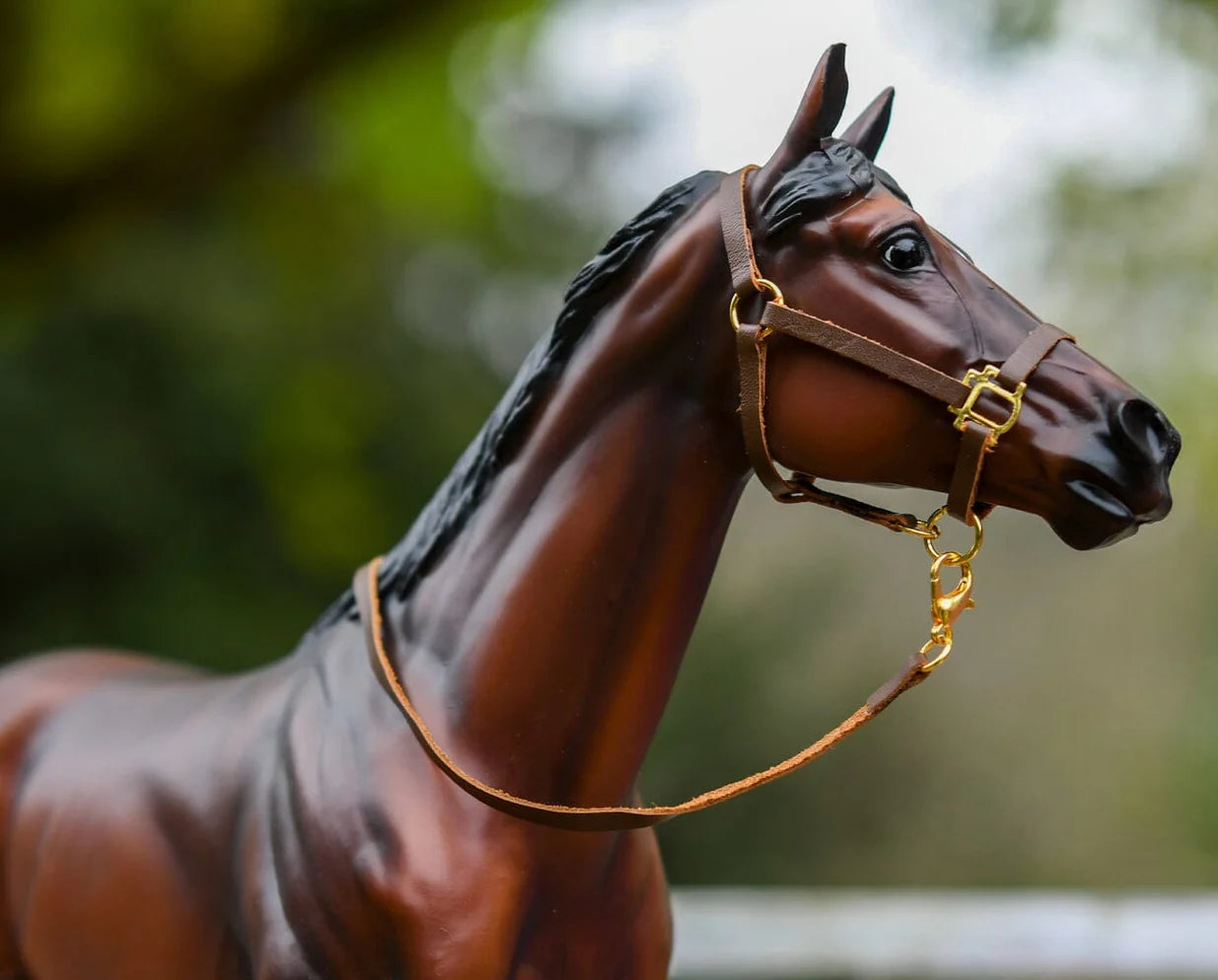 Halter with Lead
