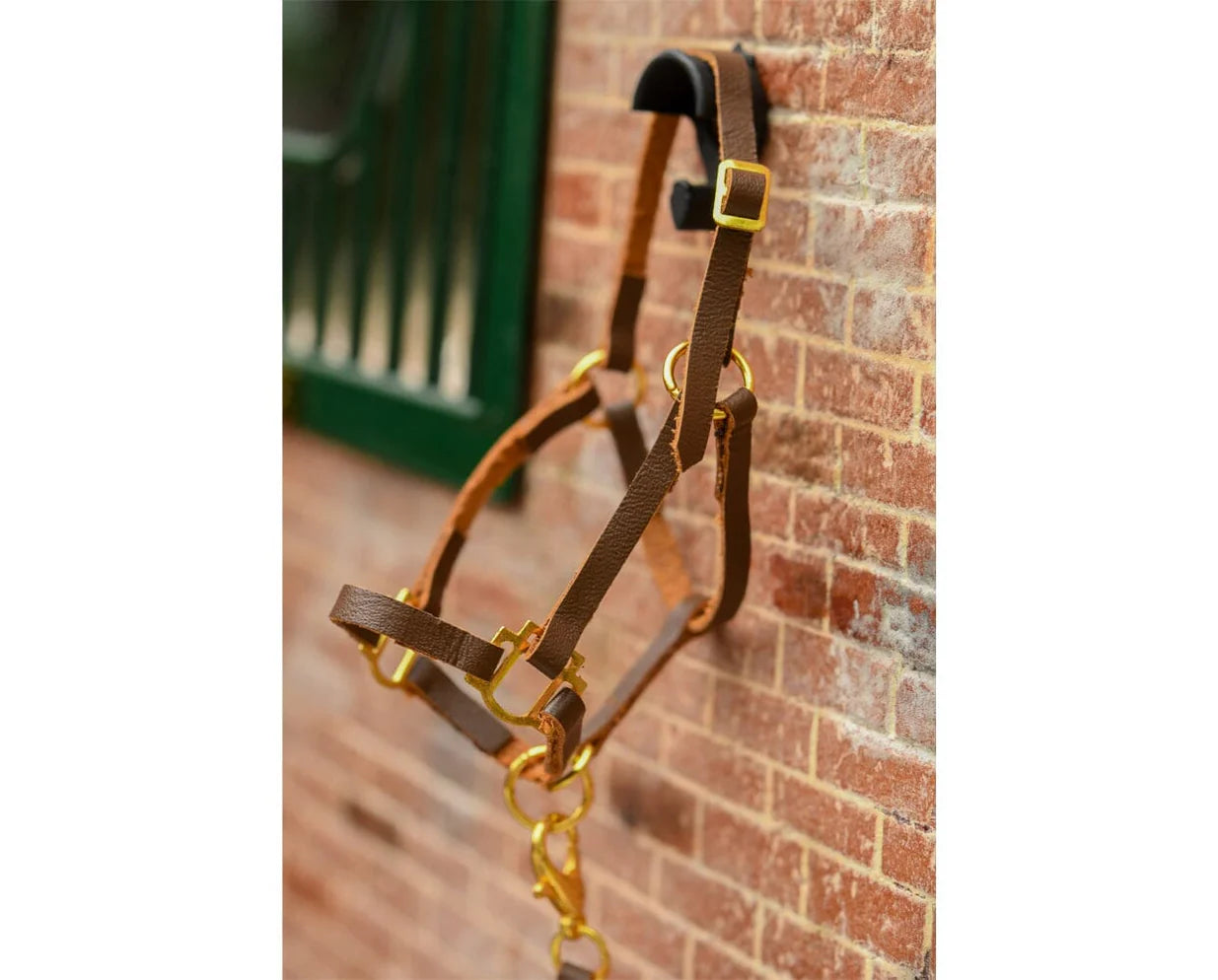 Halter with Lead
