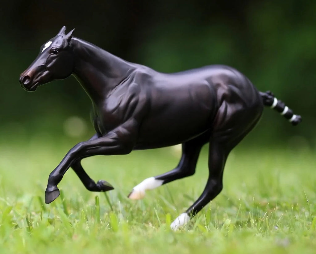 Polo Pony Manaos