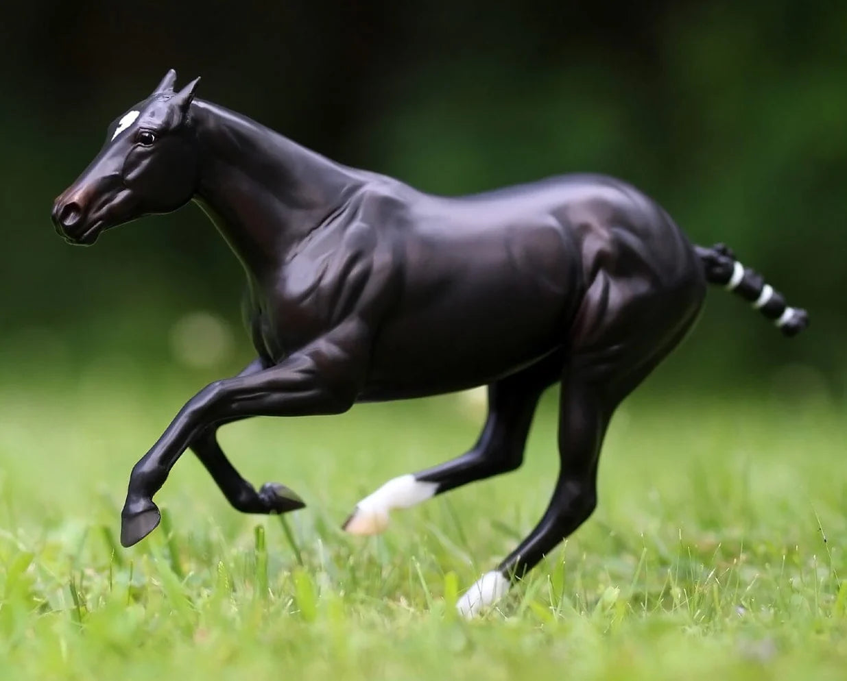 Polo Pony Manaos