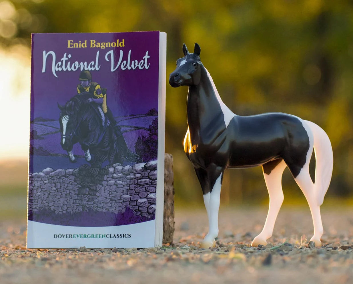National Velvet and Book Set