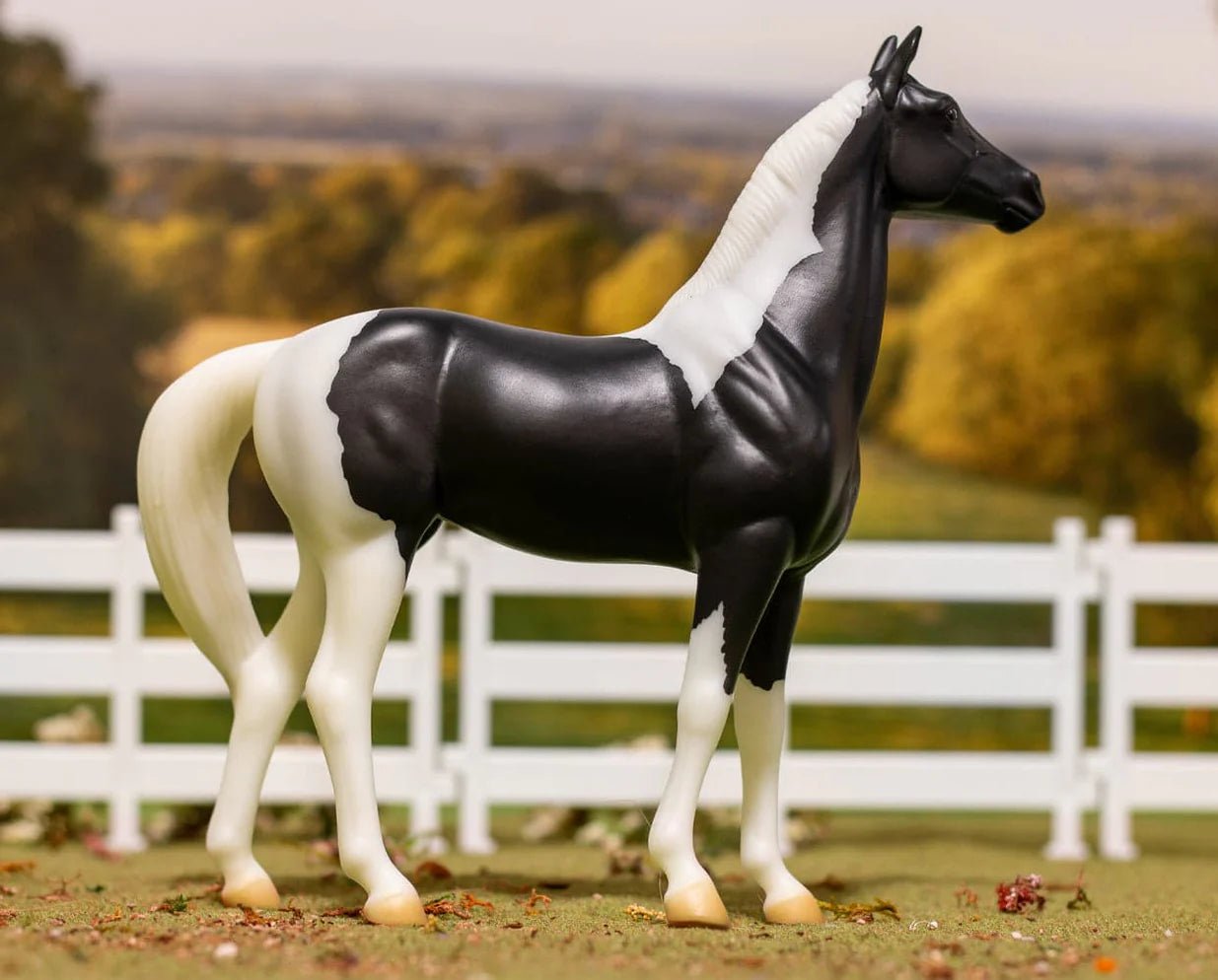 National Velvet and Book Set
