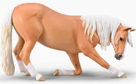 Bowing Palomino Lusitano Mare