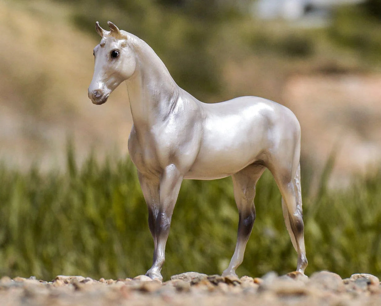 Pearly Grey Trakehner- Retired