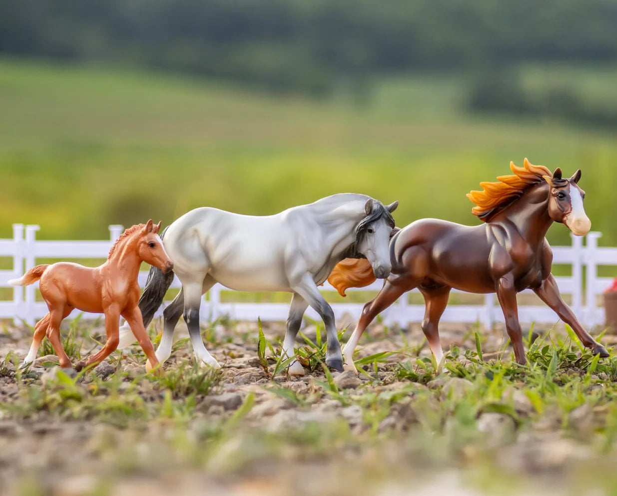 Playful Ponies Set