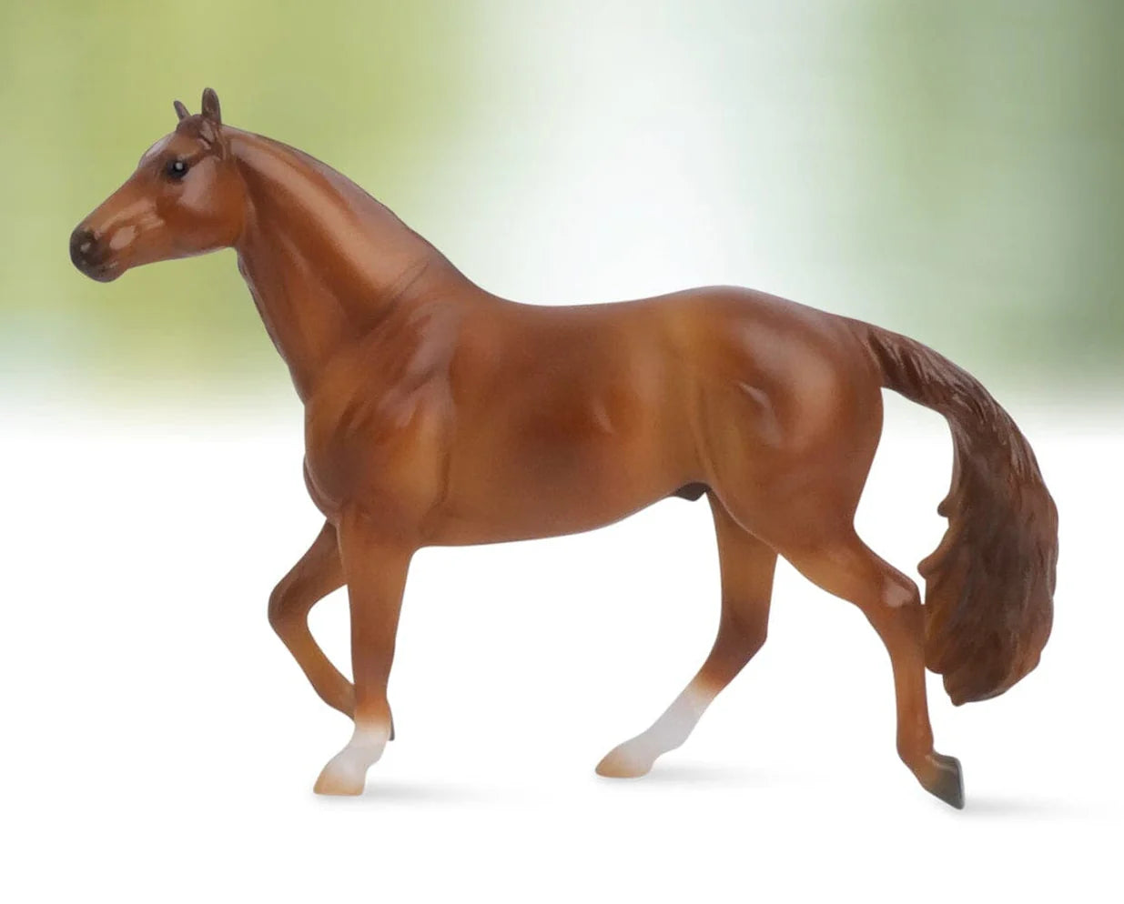 Chestnut Quarter Horse