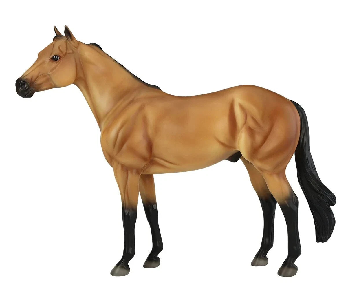 Ideal Series Buckskin