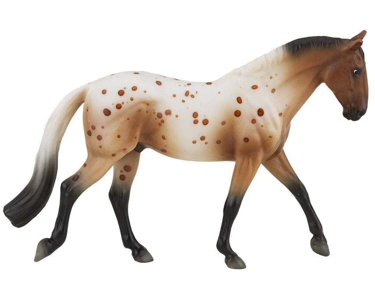 Bay Appaloosa Sport Horse- Retired
