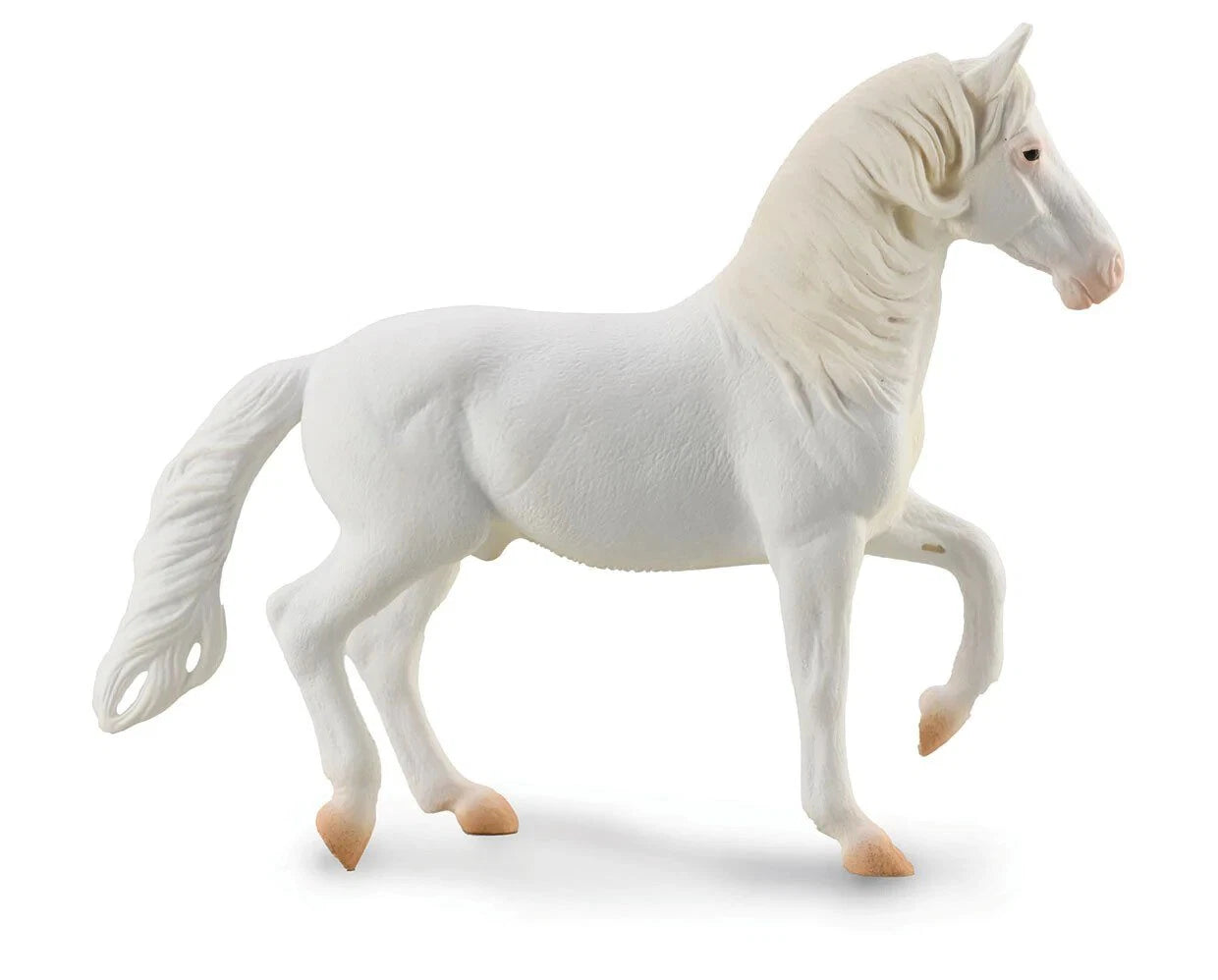 Camarillo Stallion- White