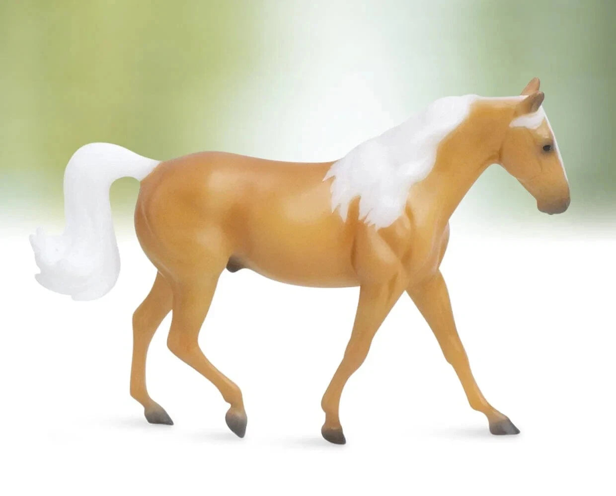 Missouri Fox Trotter- Palomino