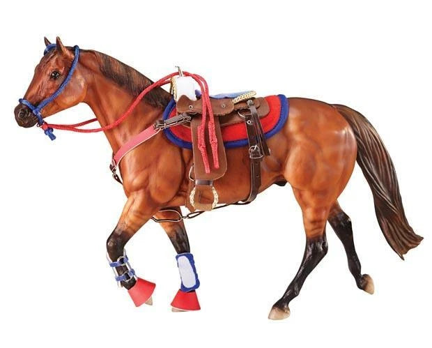 Western Riding Set