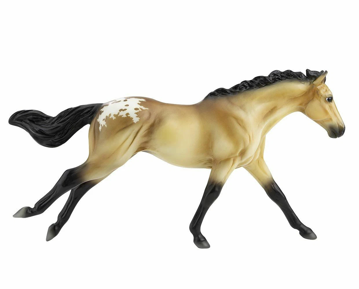 Buckskin Blanket Appaloosa- Retired