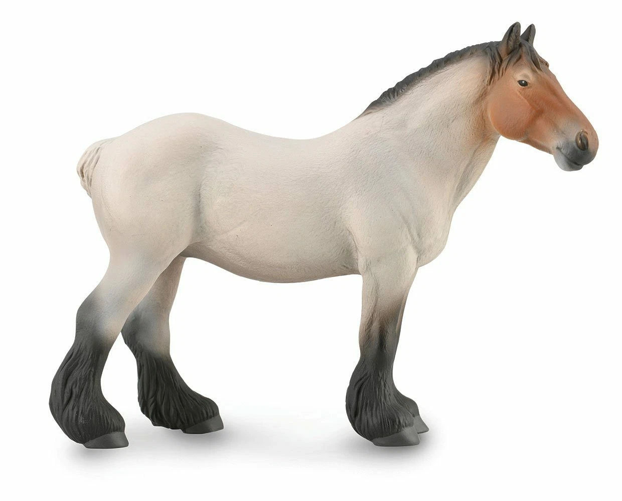 Dutch Draft Mare- Roan