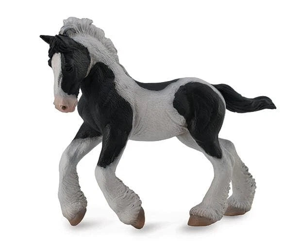 Gypsy Foal- Black Pinto