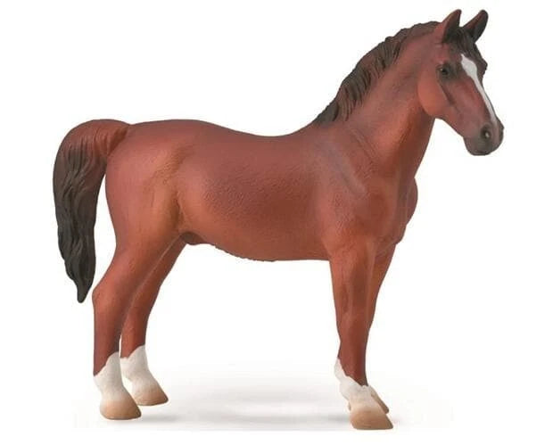 Hackney Stallion