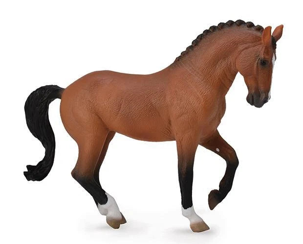 Hanoverian Mare- Bay