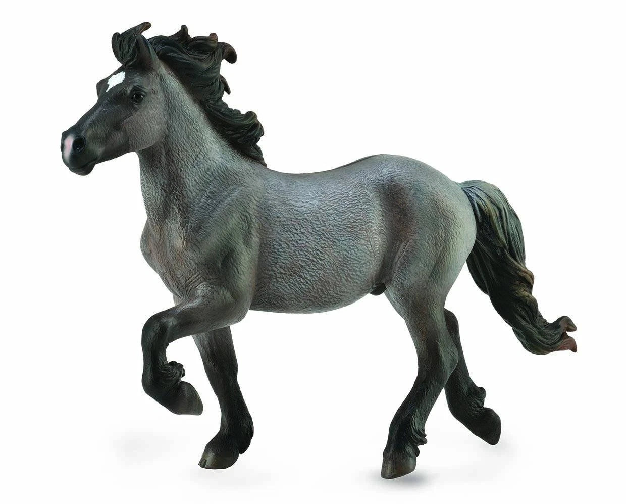 Icelandic Stallion- Blue Dun